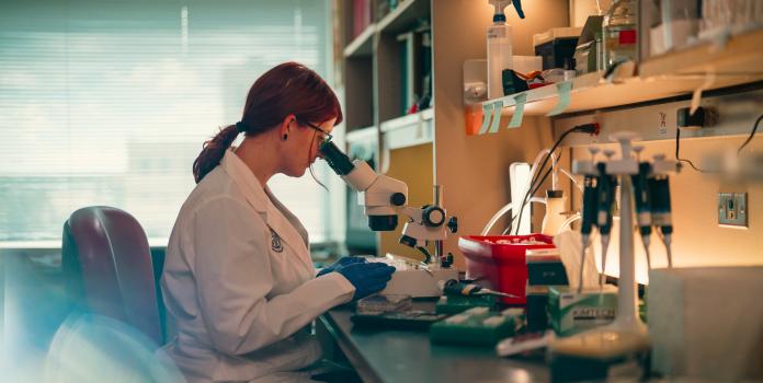 A researcher looks into microscope