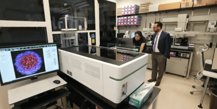 Two researchers working with pharmaceutical robot