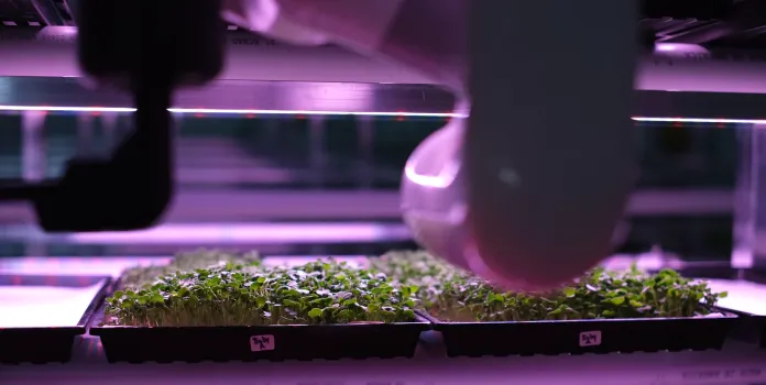 A robot arm tends to a tray of seedlings