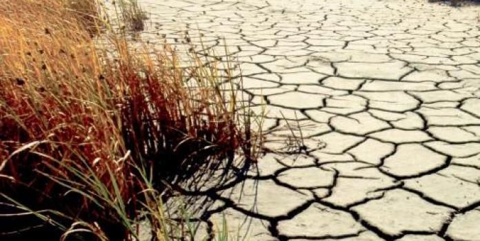 Drought close-up_educational_High school_HEART force