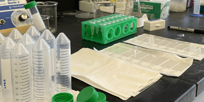 Lab equipment organized on a counter