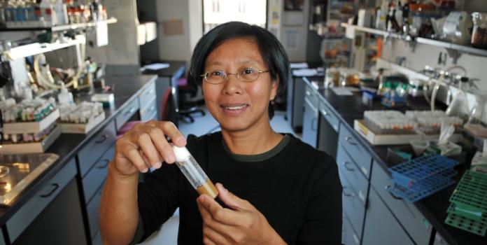 Woman holds test tube in a laboratory 