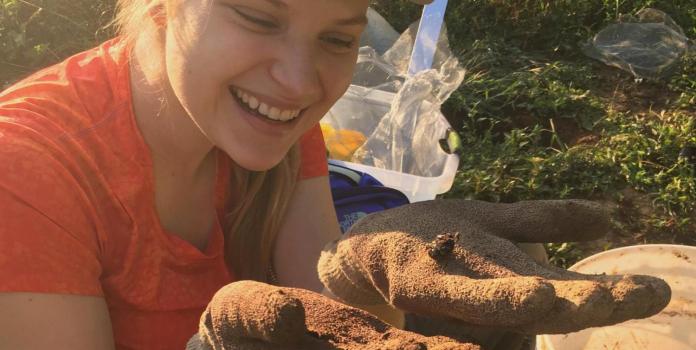 A woman wears gloves and examines insect