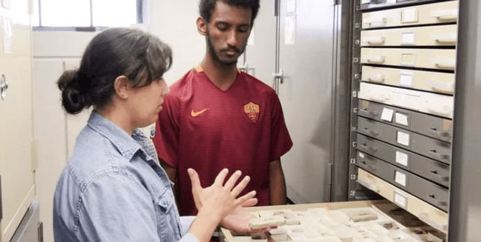 two students stand next to an open drawer filled with fossils