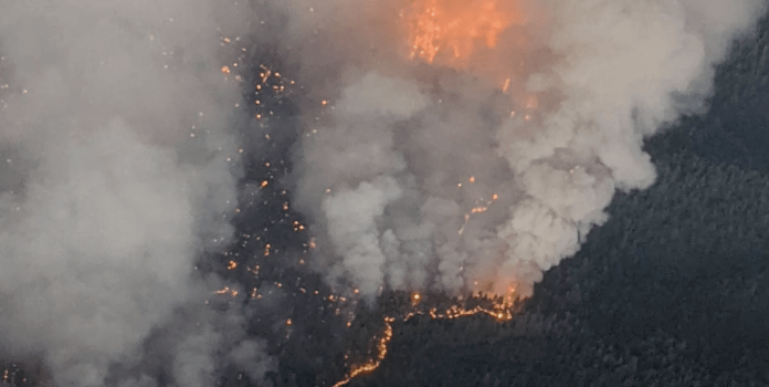 Aerial view of a forest fire