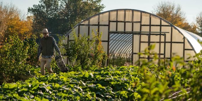 Professor Ruben Viramontez Anguiano, PhD farming