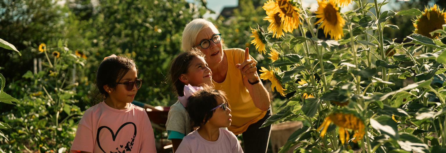 Woman shows three children sunflower garden