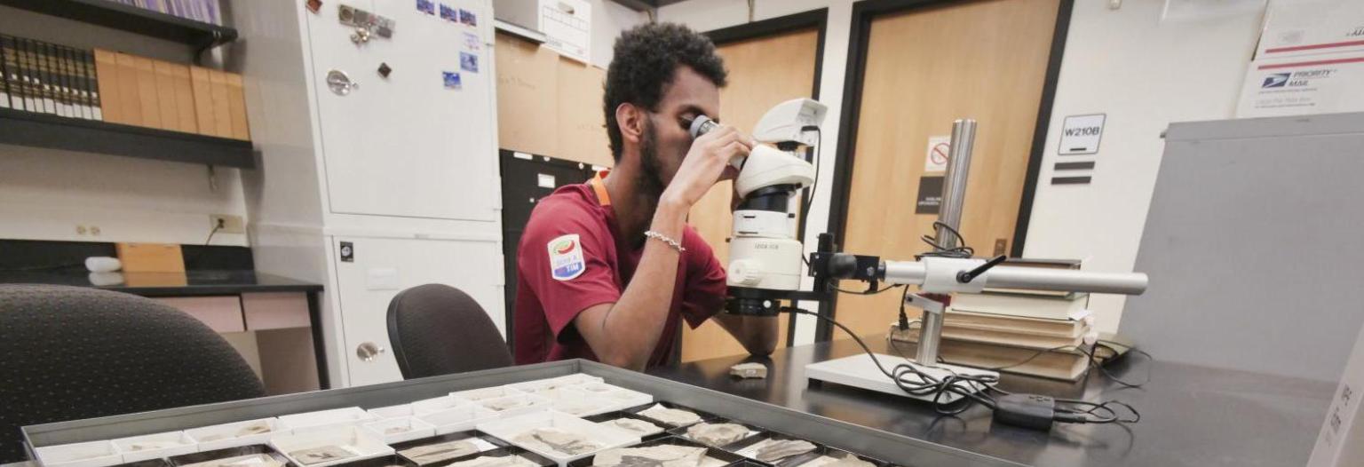 a student, surrounded by fossils, looking into a microscope