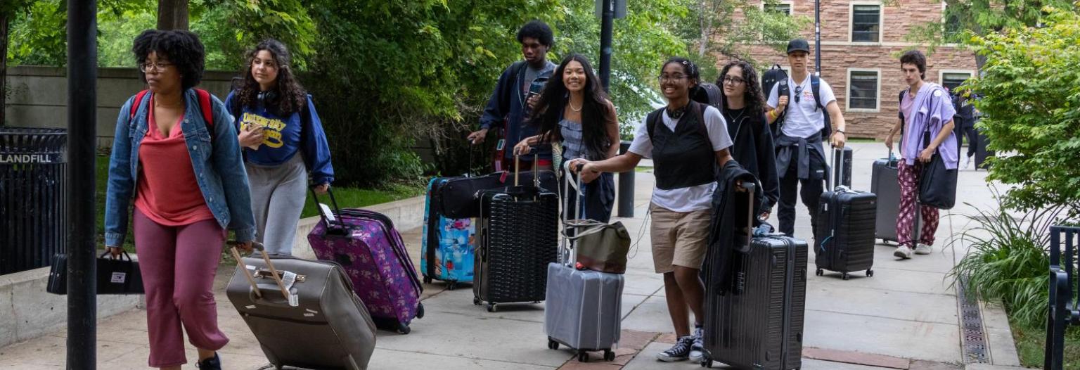 A group of young people pulling suitcases