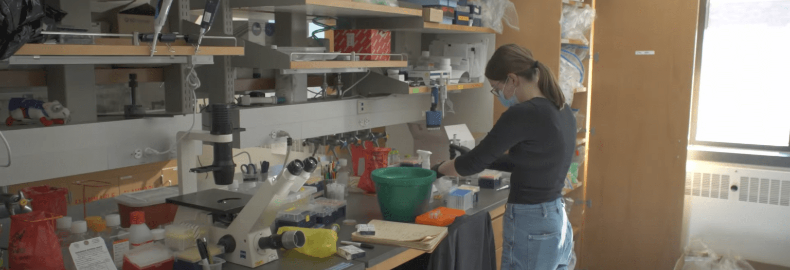 A young woman working in a laboratory