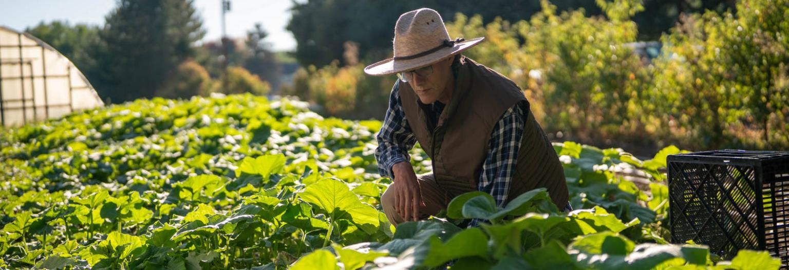 Professor Ruben Viramontez Anguiano, PhD farming
